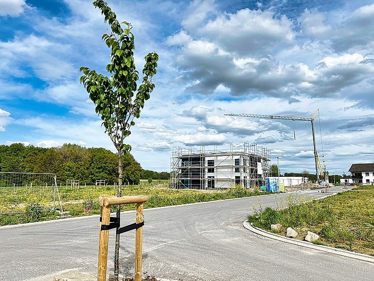 Baugrundst�cke Fr�ndenberg - Kappenstein Immobilien