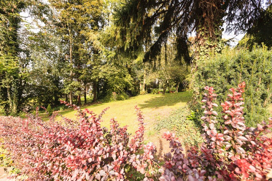  Erdgeschosswohnung Fr�ndenberg