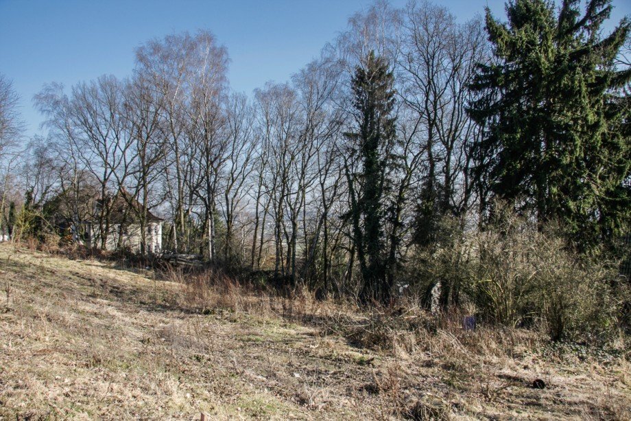 leichte Hanglage Wohngrundst�ck Fr�ndenberg