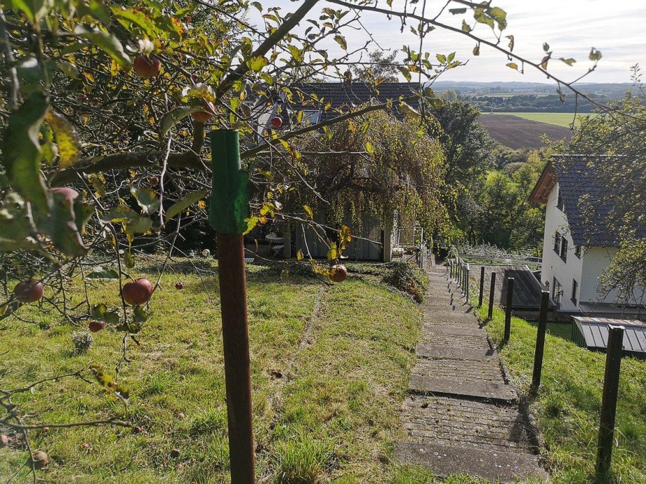 Garten in Hanglage Einfamilienhaus Fr�ndenberg