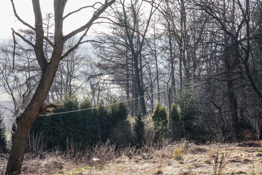 Lage Wohngrundst�ck Fr�ndenberg