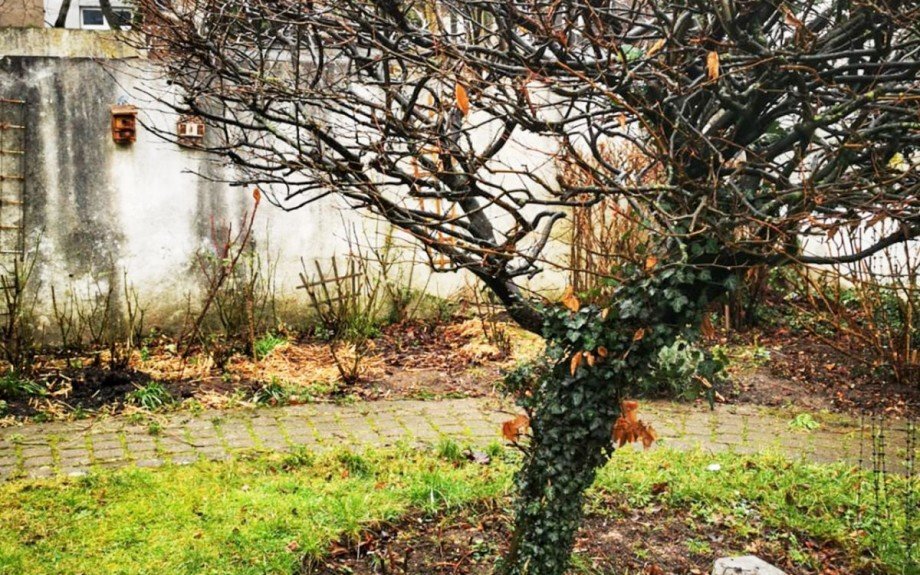Garten 3 Mehrfamilienhaus Bochum-Wattenscheid