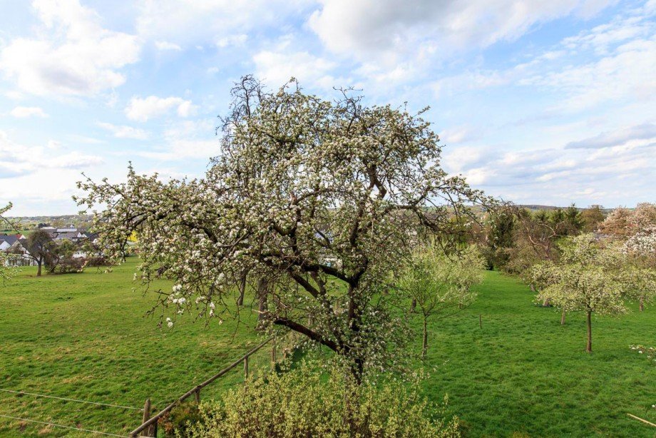  Etagenwohnung Menden - Schwitten