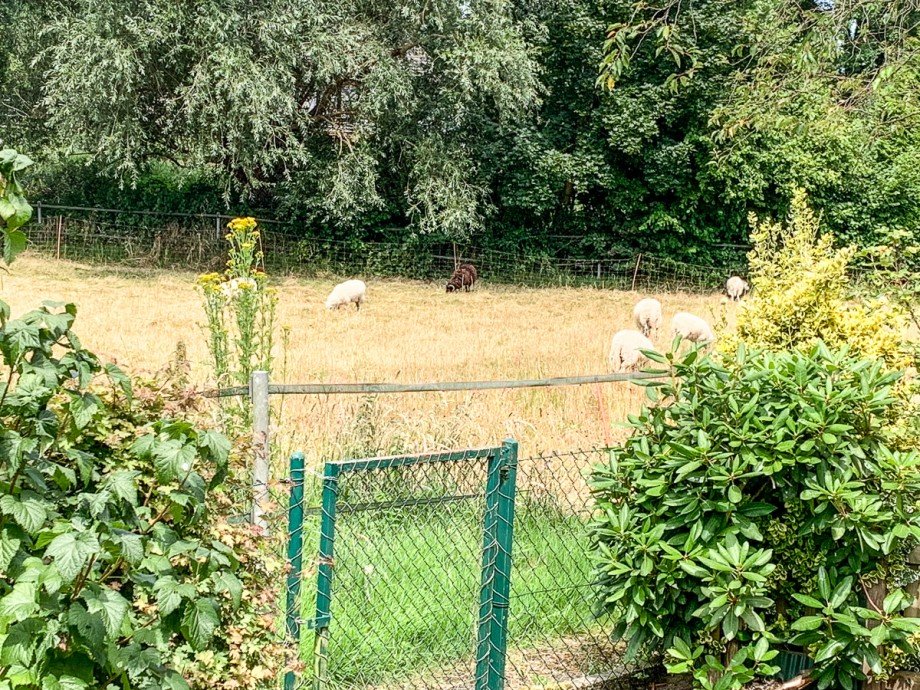 Garten mit idyllischem Blick Doppelhaush�lfte Fr�ndenberg-Warmen
