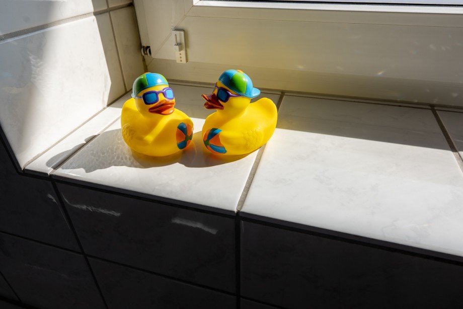  Einfamilienhaus Fr�ndenberg Hohenheide