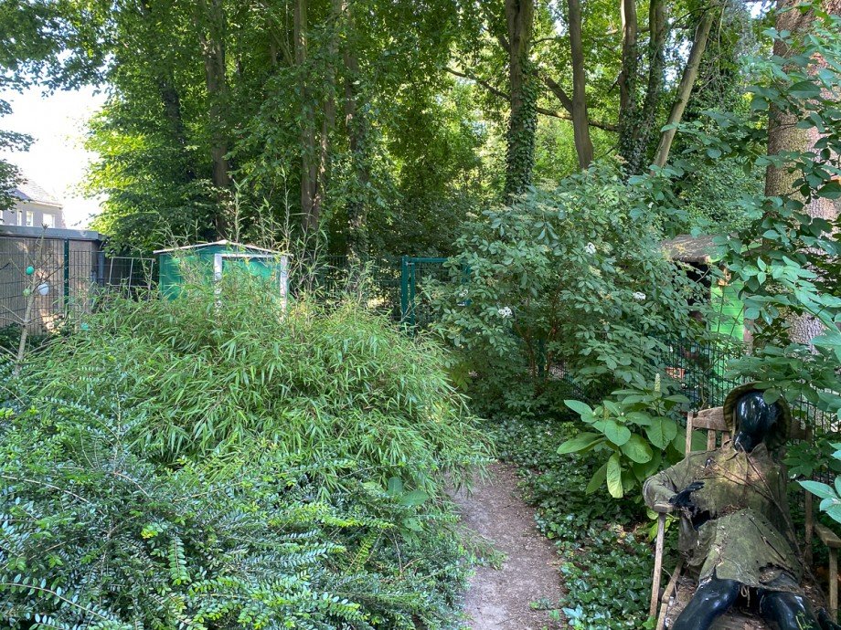 ein wilder Garten Haus Unna