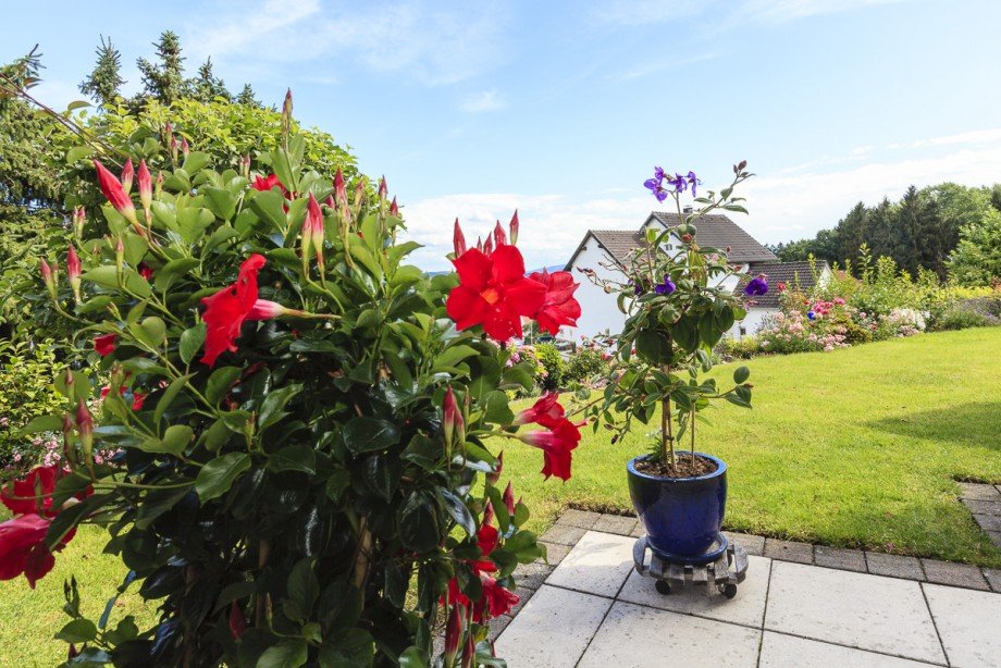03 auf der Terrasse Erdgeschosswohnung Fr�ndenberg