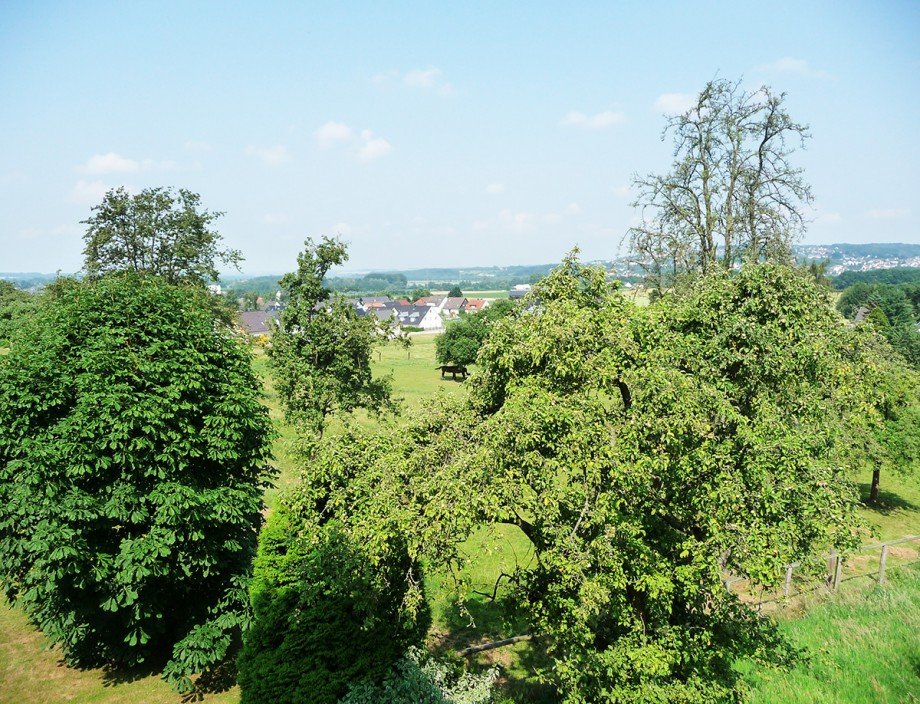  Wohnung Menden Schwitten