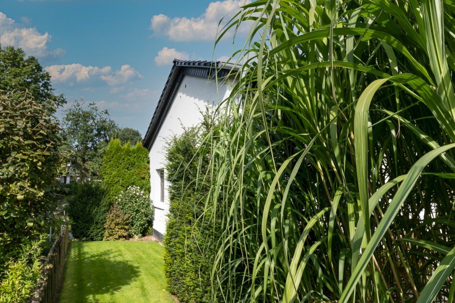  Einfamilienhaus Fr�ndenberg