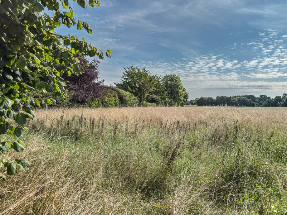 sch�ne und ruhige Feldrandlage Wohngrundst�ck Fr�ndenberg-Fr�mern