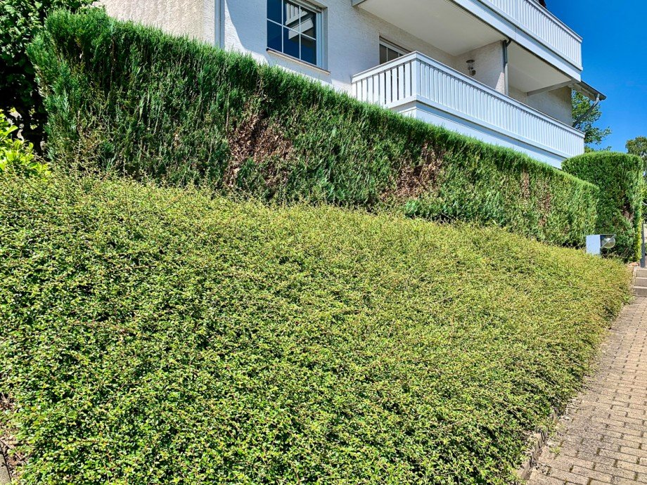 Ansicht S�d Balkon Maisonettewohnung Fr�ndenberg